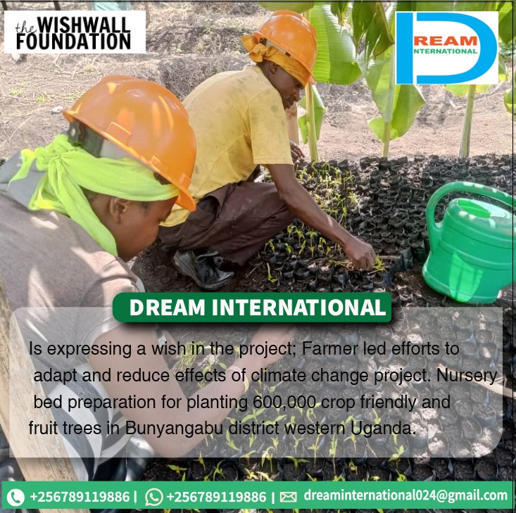 To embrace biodiversity in farming systems in uganda