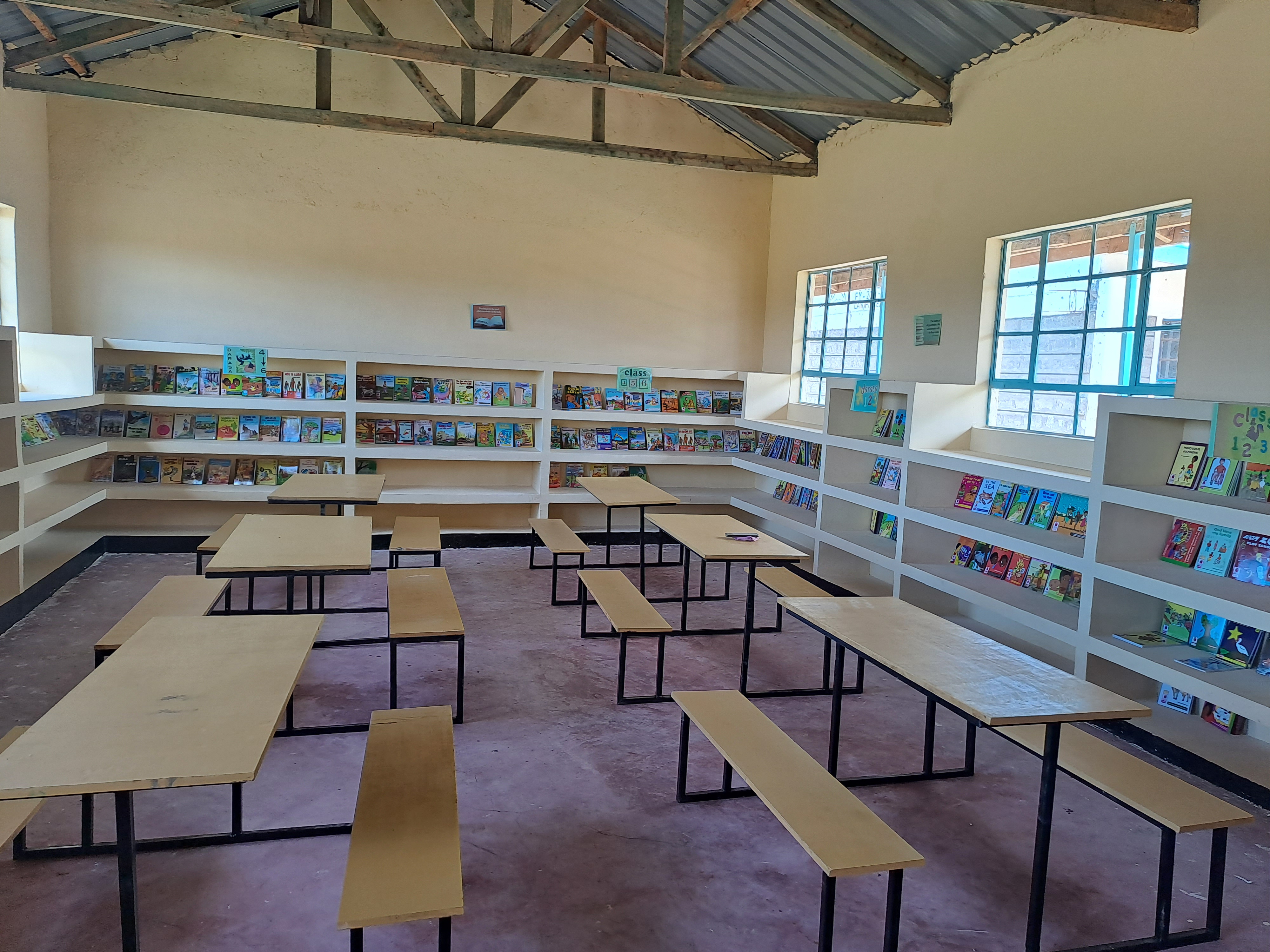 Catherine's Dream: Transforming Lives at my primary school, One book at a Time