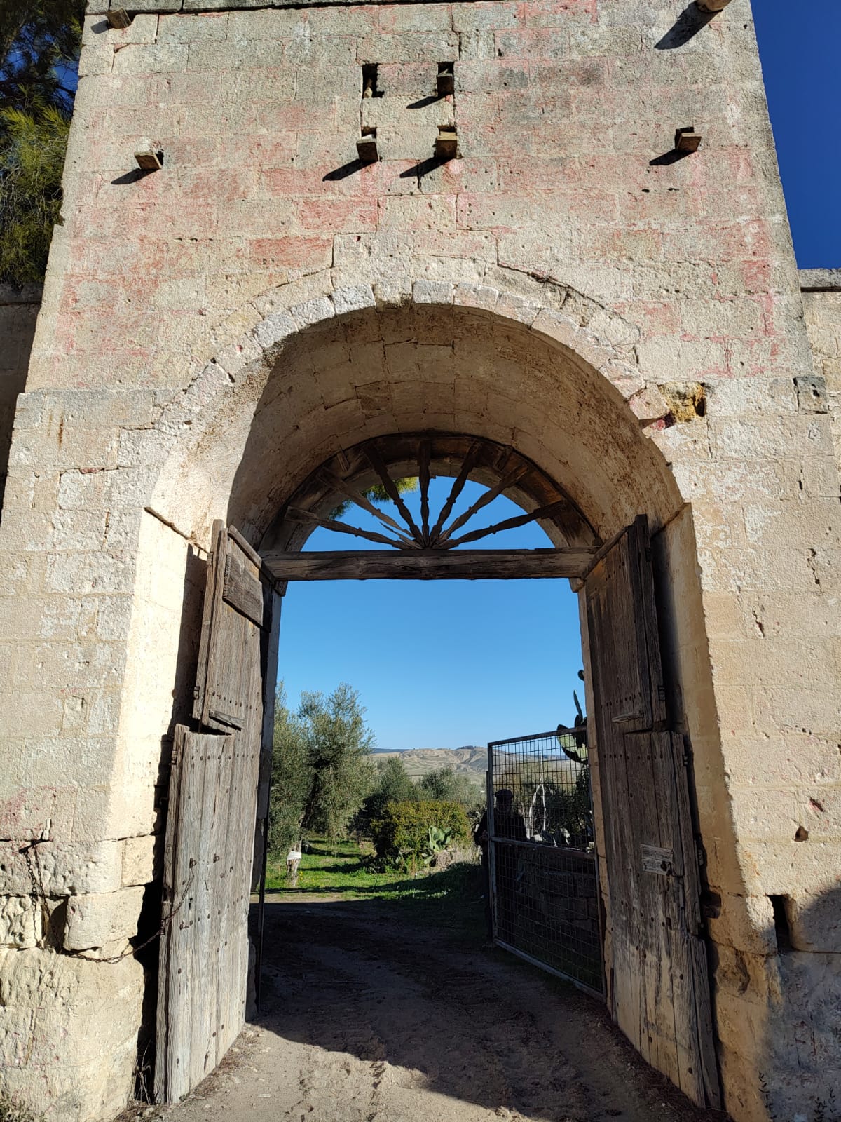 Slow Food - I templi dell’olio - Olivi Patriarchi con Francesco Linzalone - Image 21