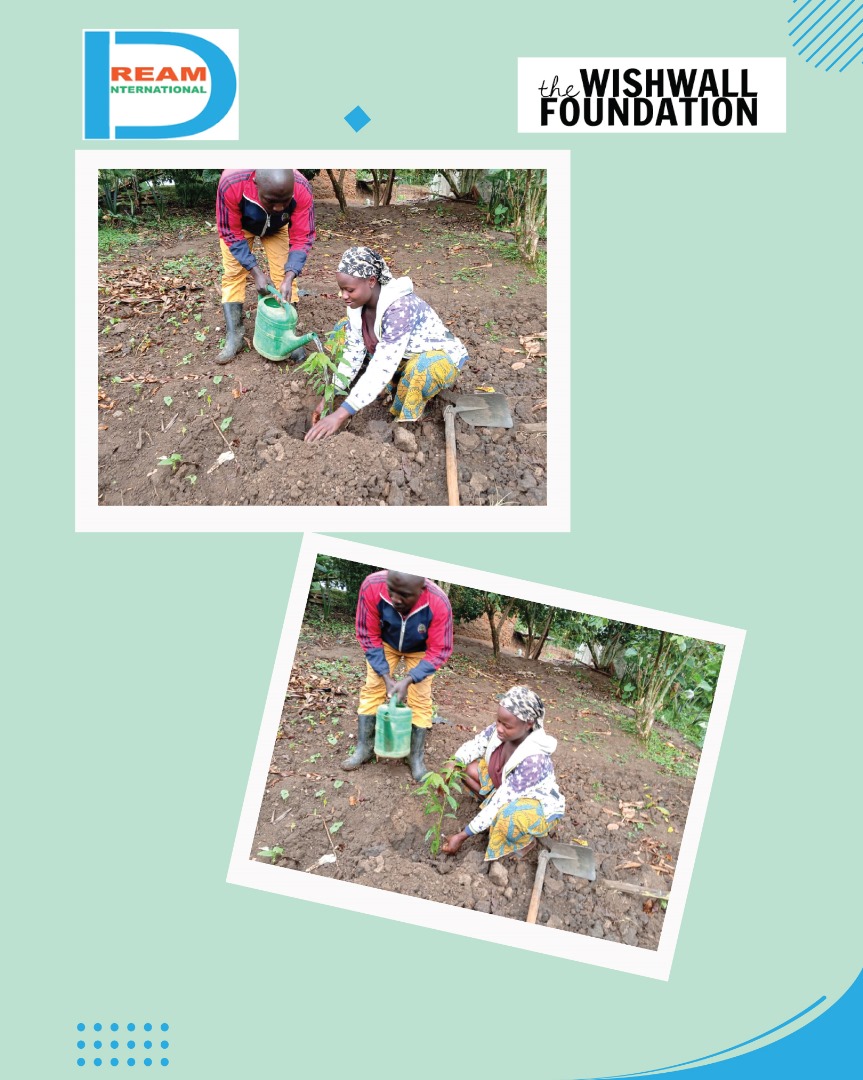 Planting for the restoration of landscapes in Rwenzori mountains