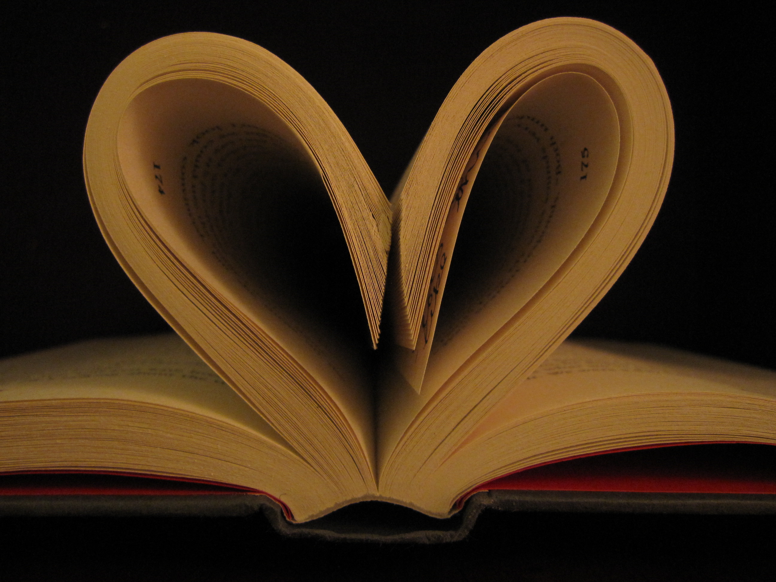 Publish My Next Book