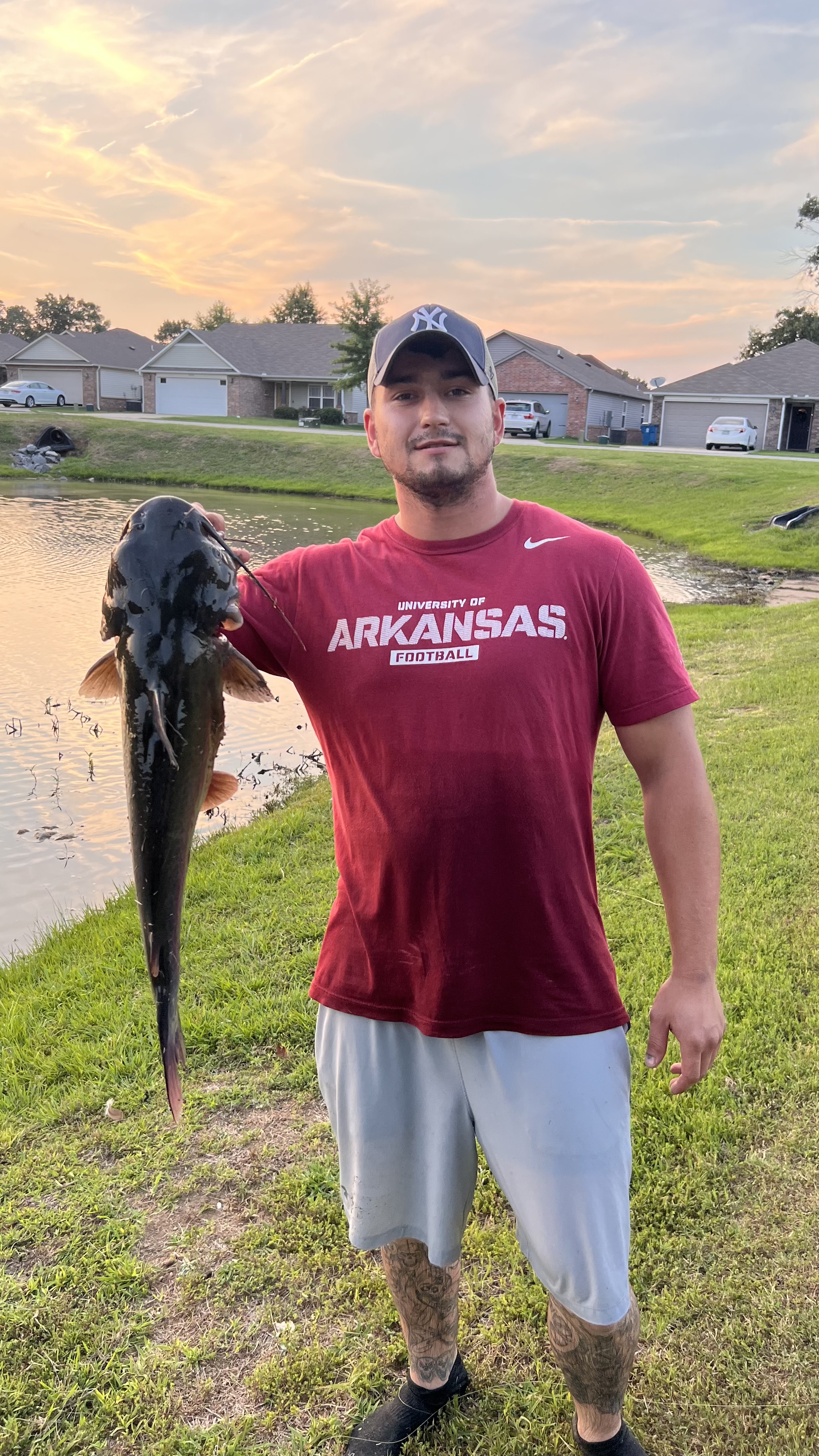 Shelter Animals and Recovering Addicts