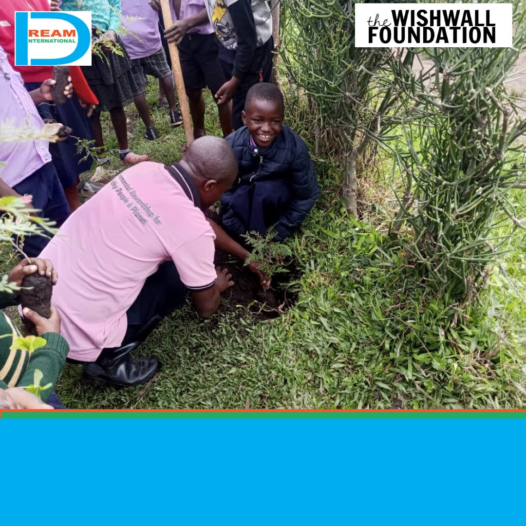 planting for biodiversity of landscapes in Rwenzori mountains