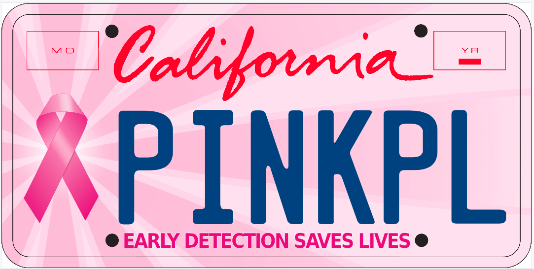 Help Paint the ROADS PINK!