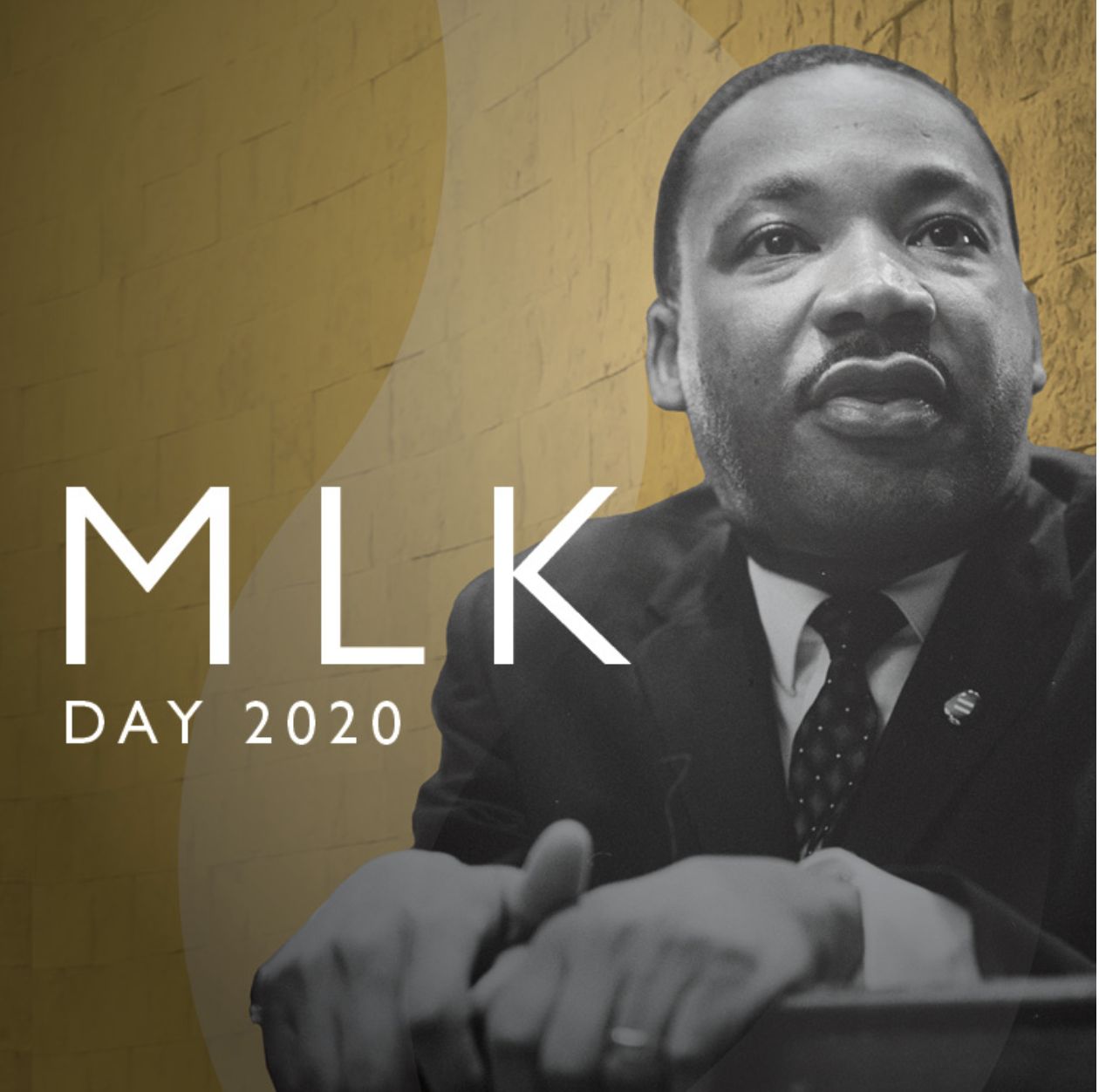 Equality for All Humanity