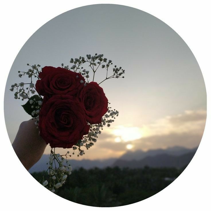 i want to go for my dreams