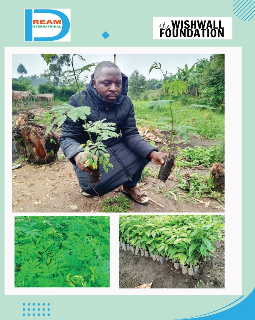 Planting for the restoration of landscapes in Rwenzori mountains