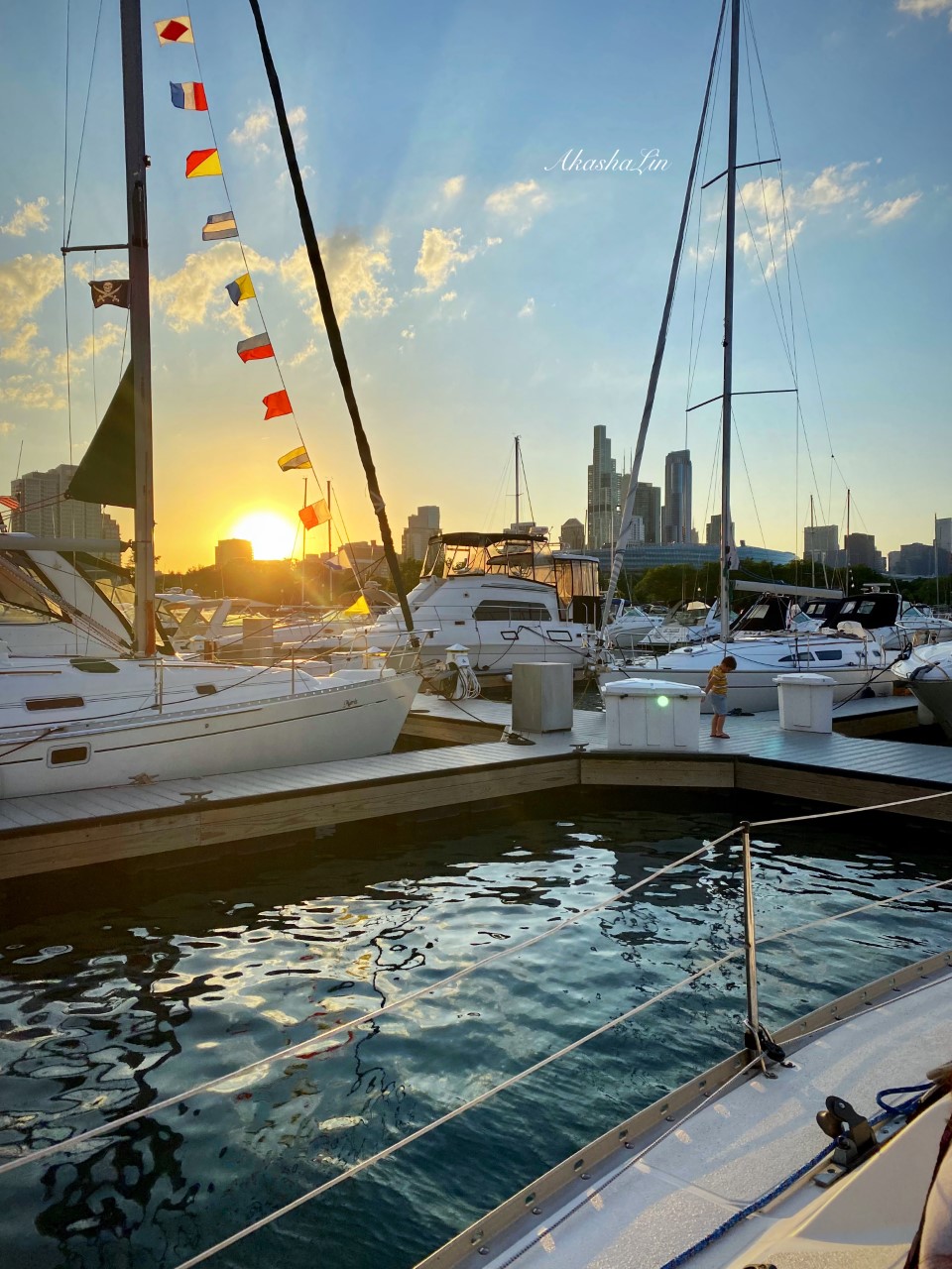 FE: Fins + fascination