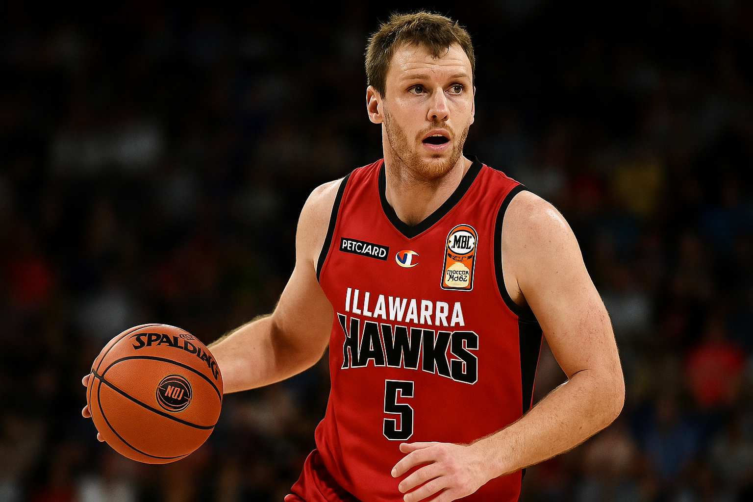 illawarra hawks
