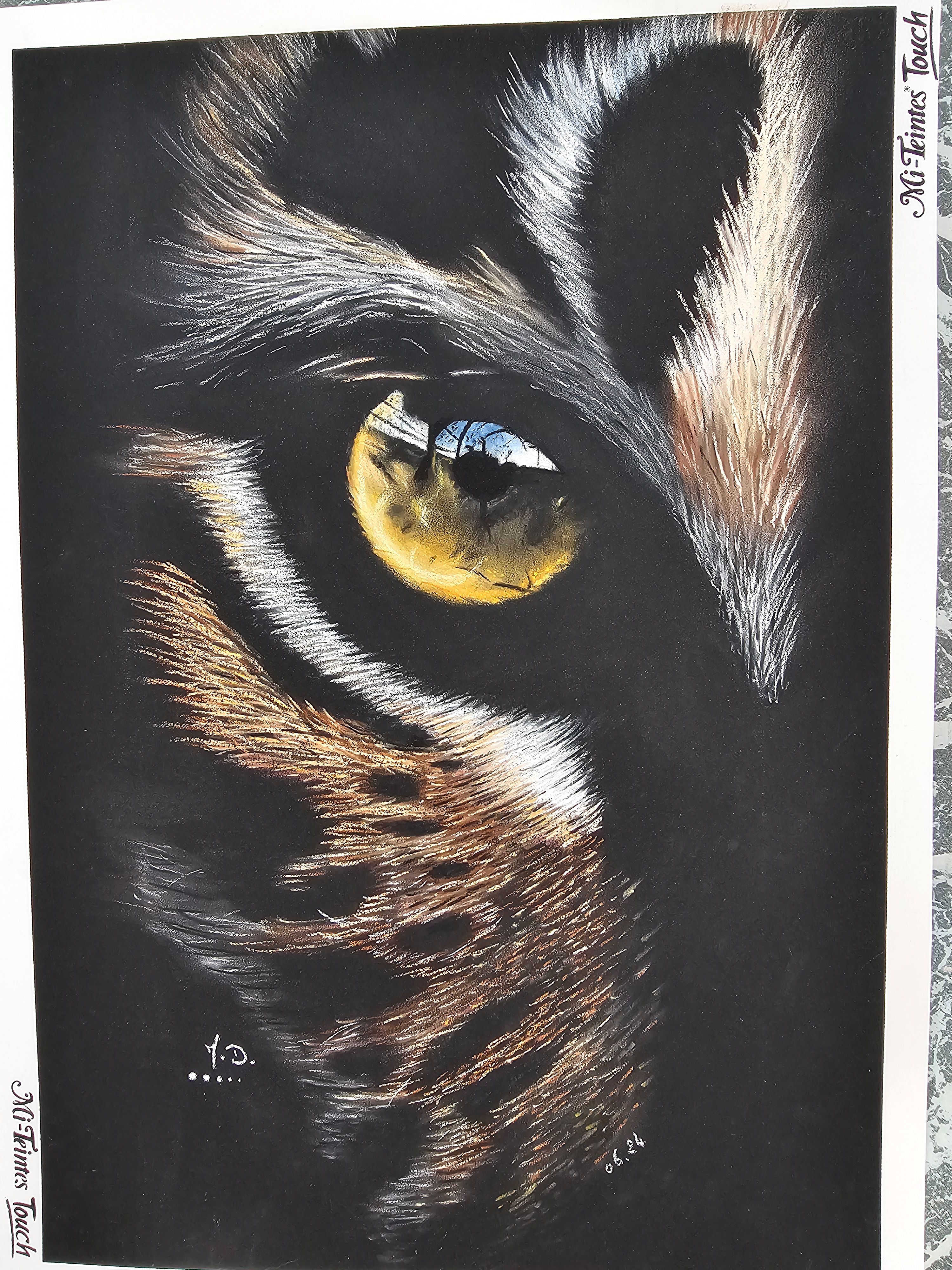 L'oeil du tigre - 230€