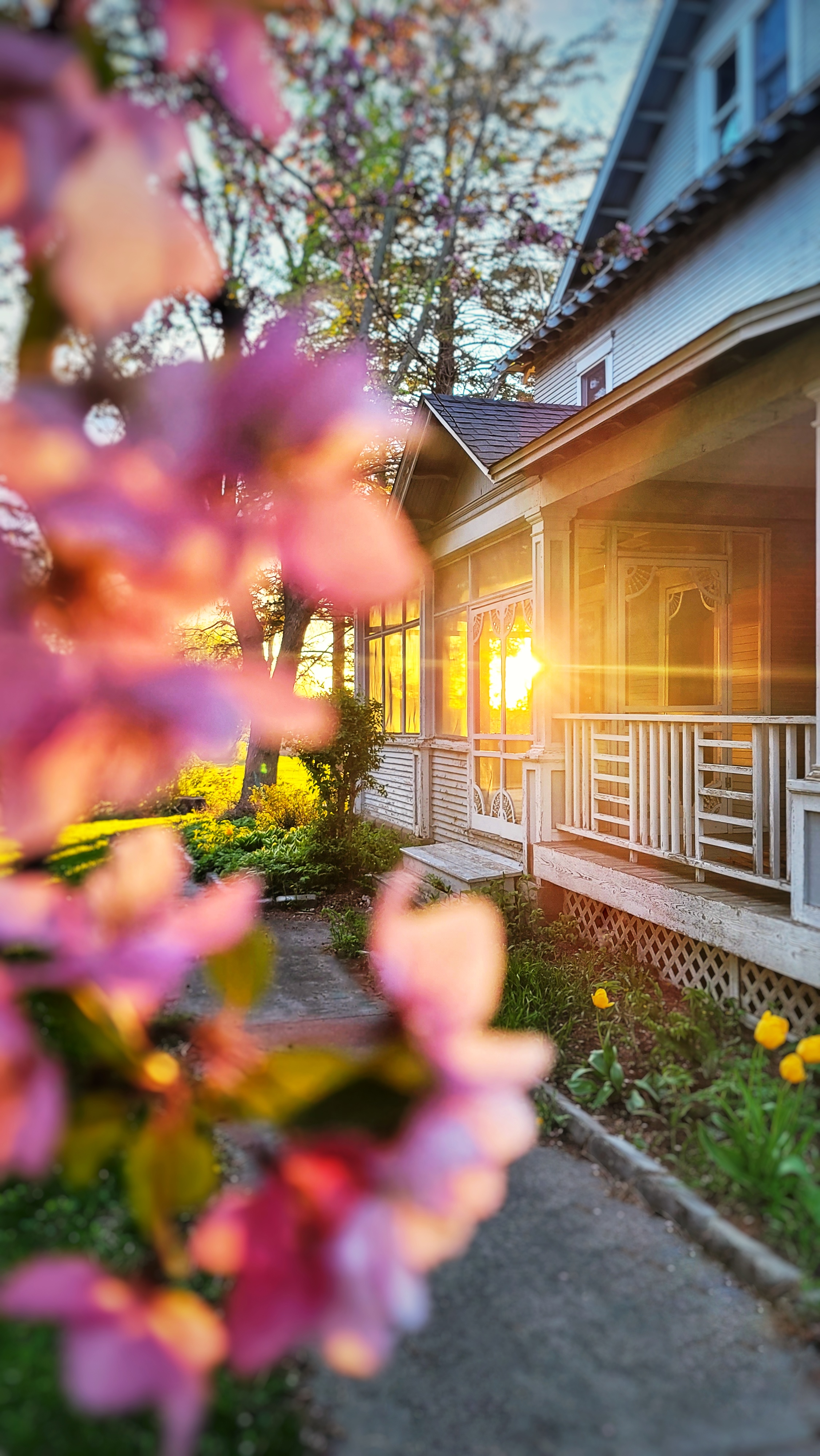 Launching our Home for New Mothers