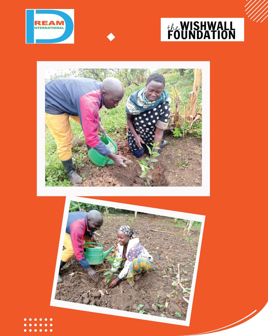 Planting for the restoration of landscapes in Rwenzori mountains