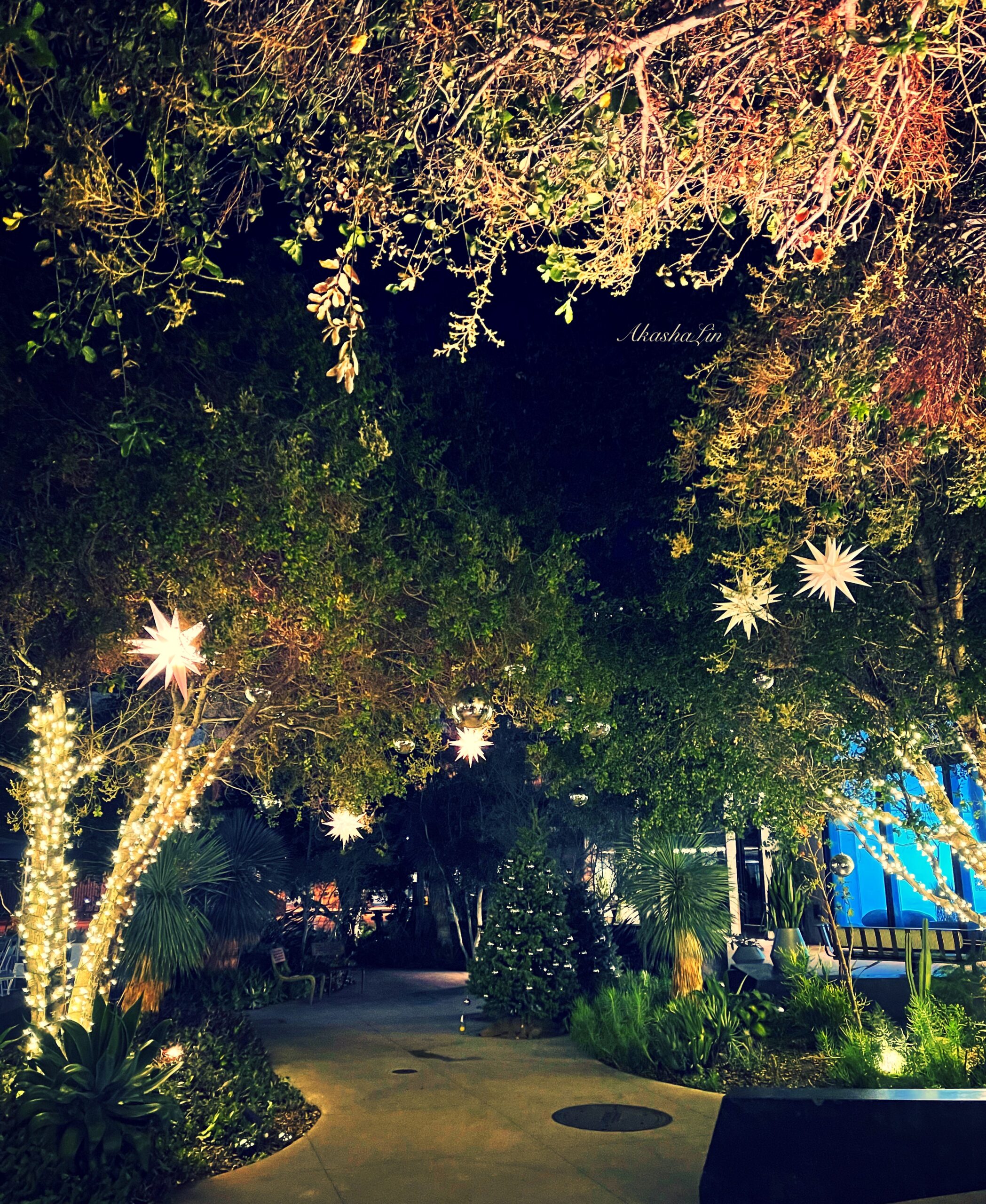 FE: Peruse your path