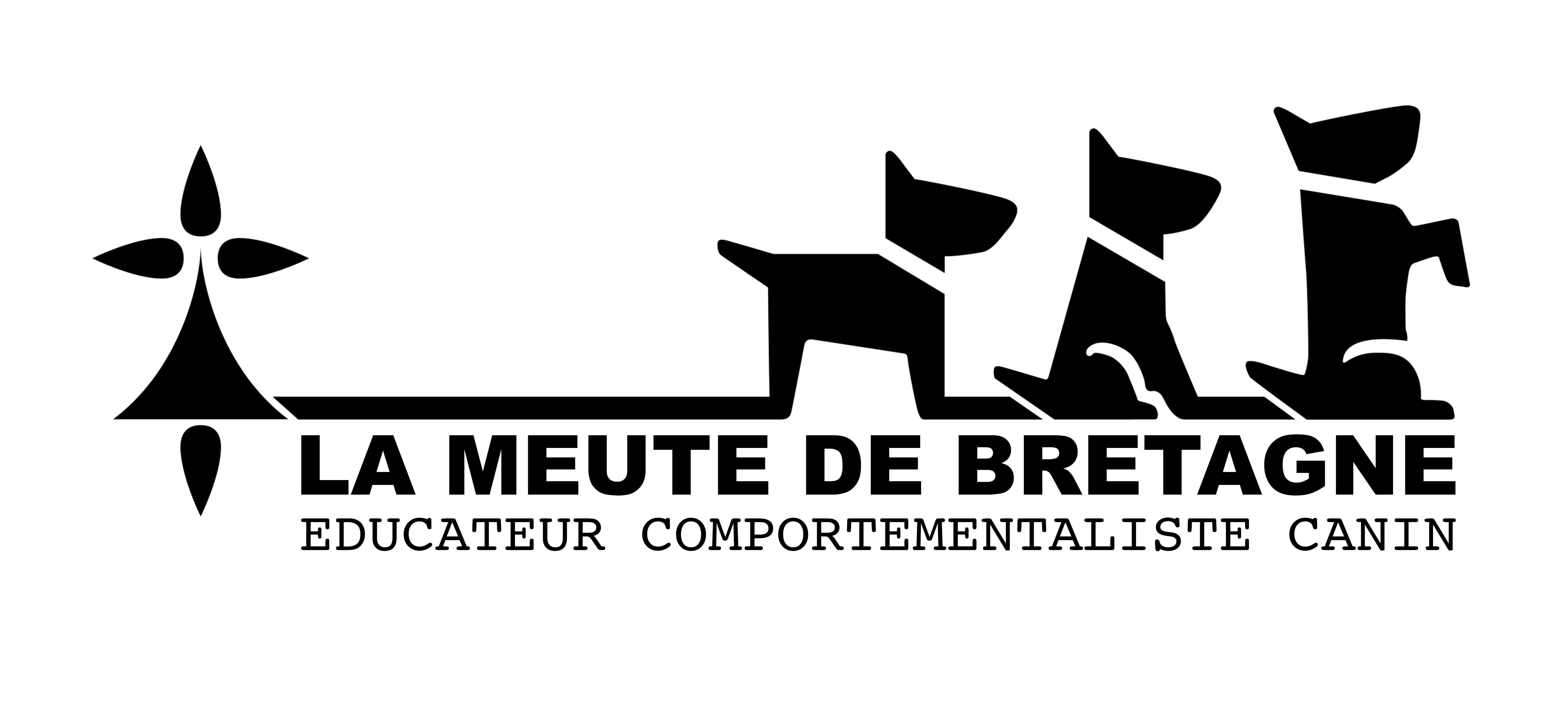 LA MEUTE DE BRETAGNE