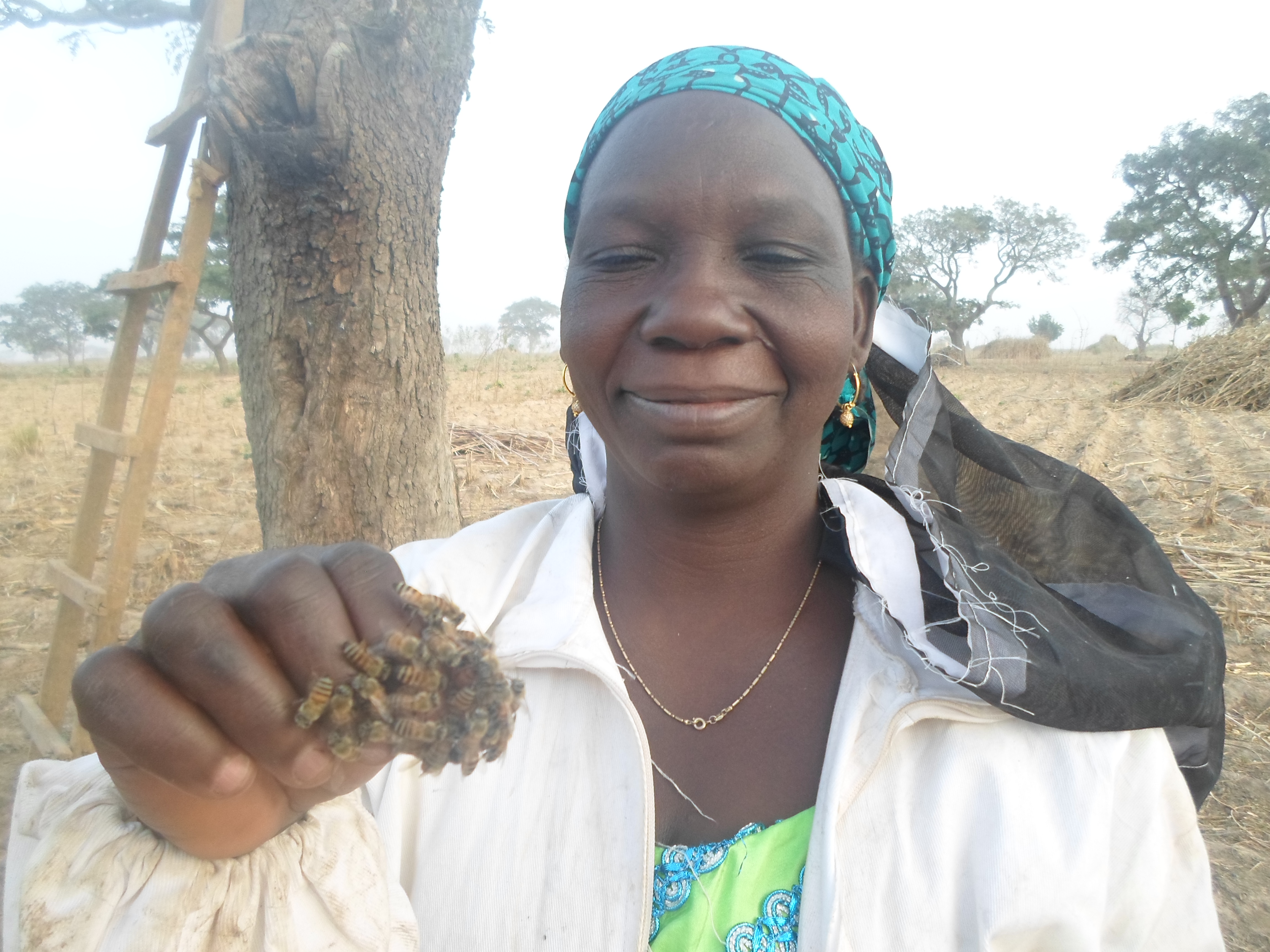 To support rural poor women into Beekeeping  as a source for income generation for their families