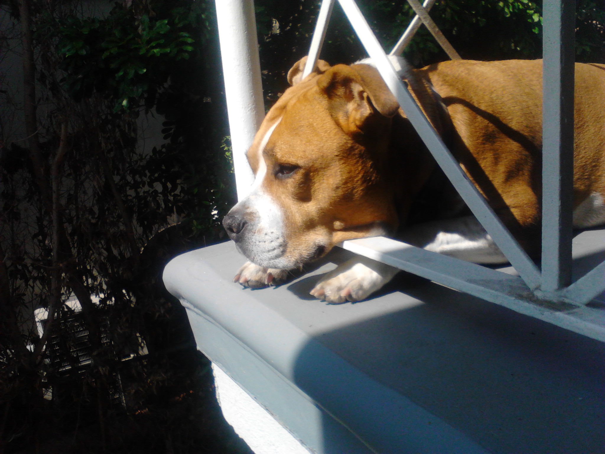 A few Downloads to keep us going