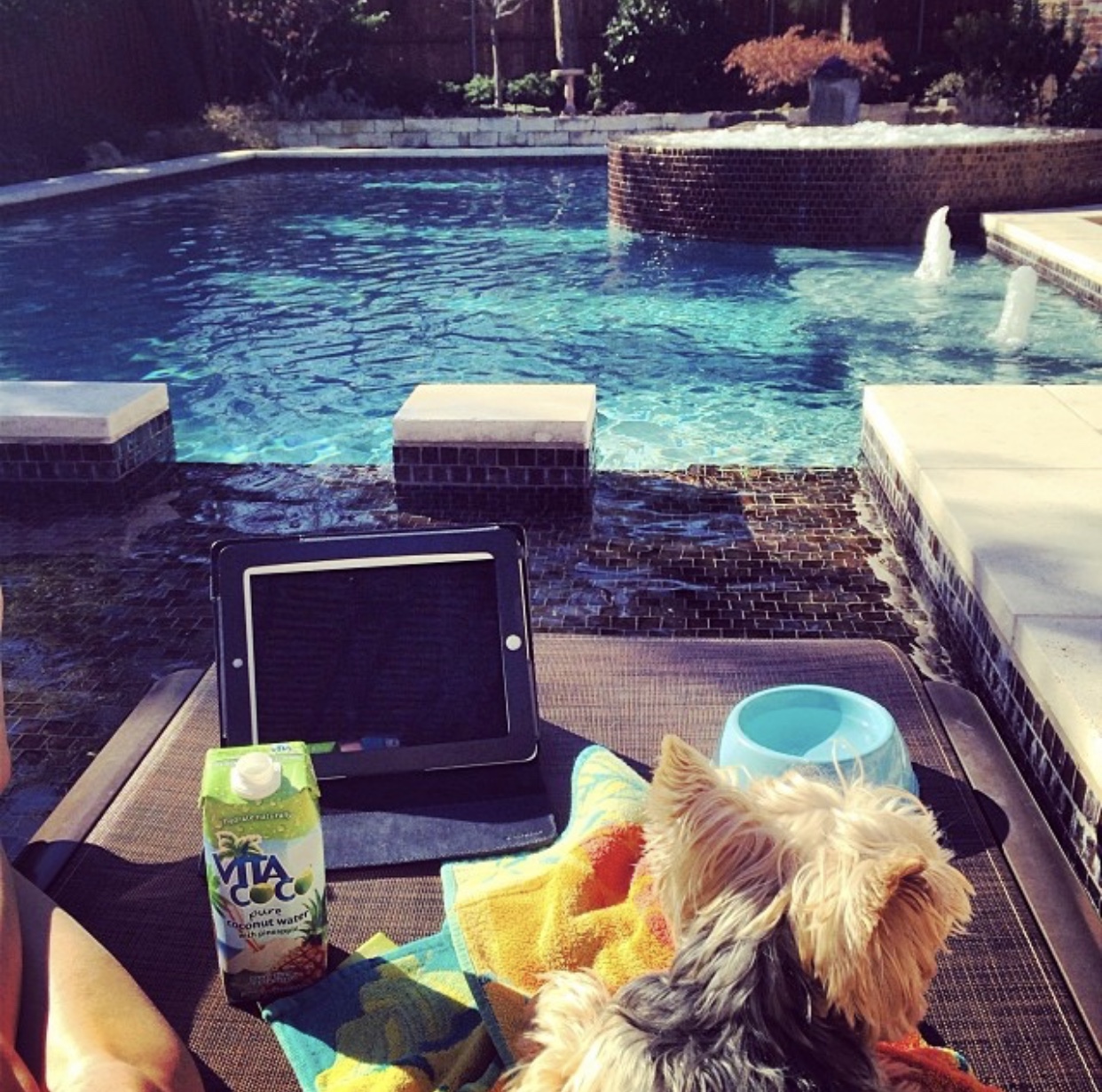 Stop. Pause. Unplug.