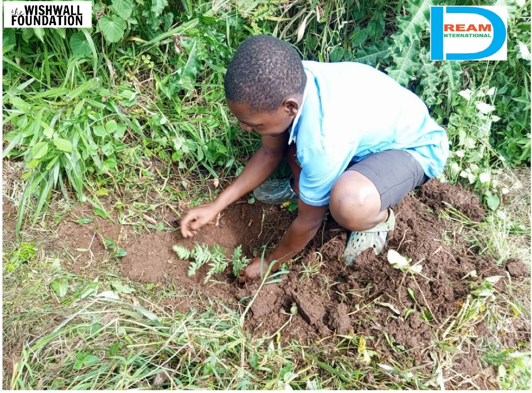 planting for biodiversity of landscapes in Rwenzori mountains