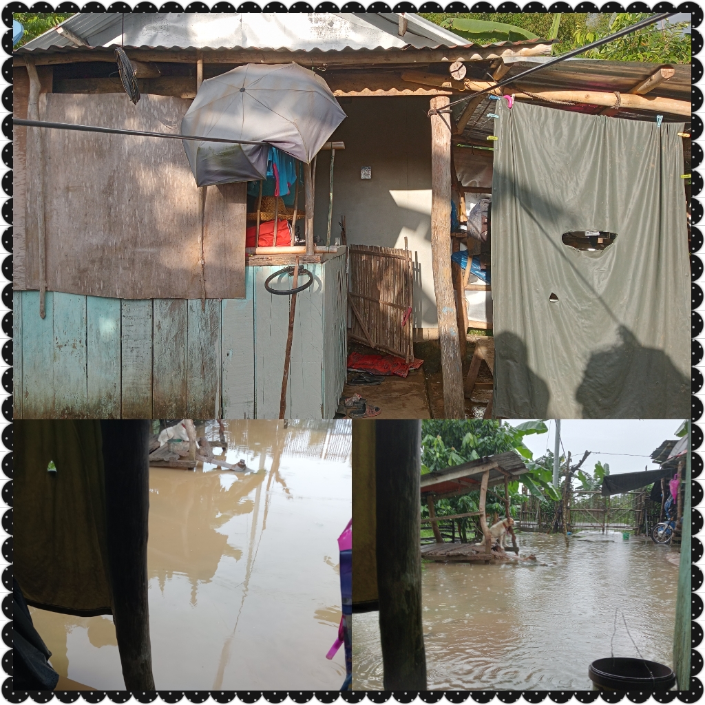 A Better Home to Live