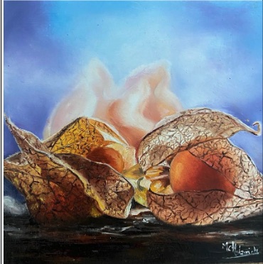 Physalis - 100€
