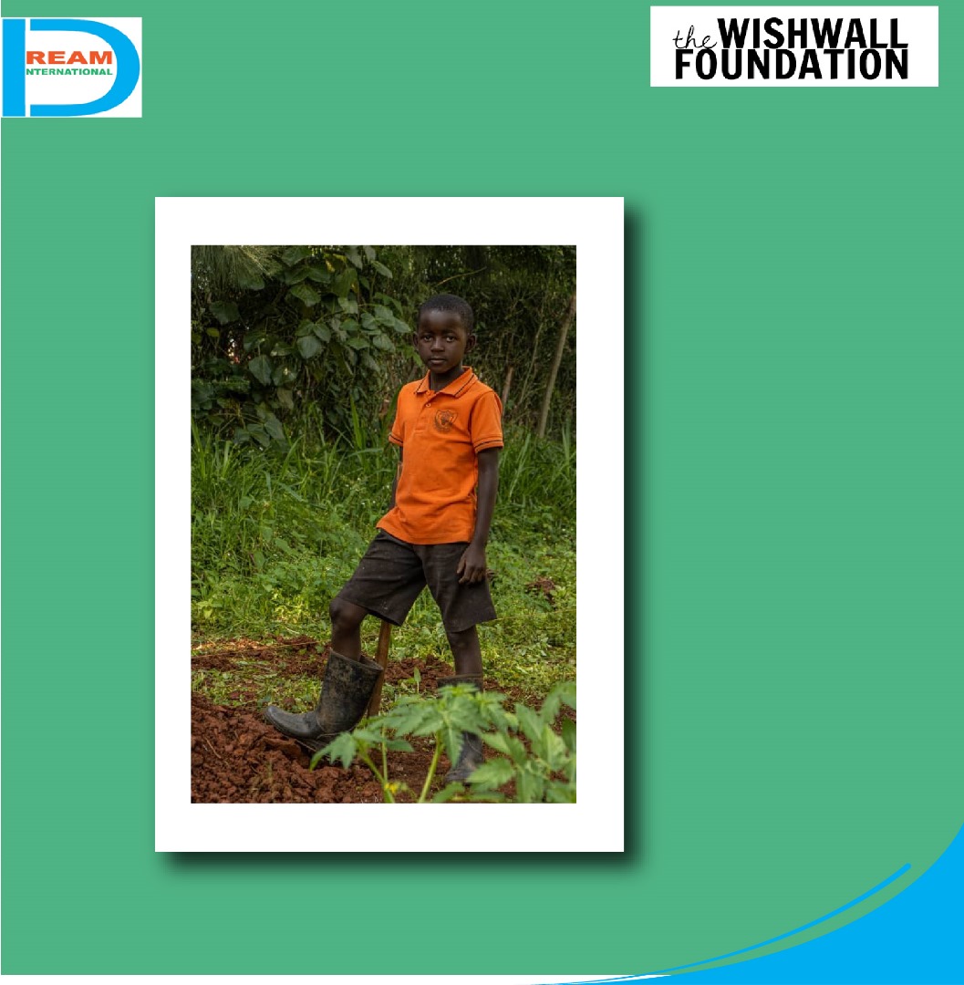 planting for biodiversity of landscapes in Rwenzori mountains