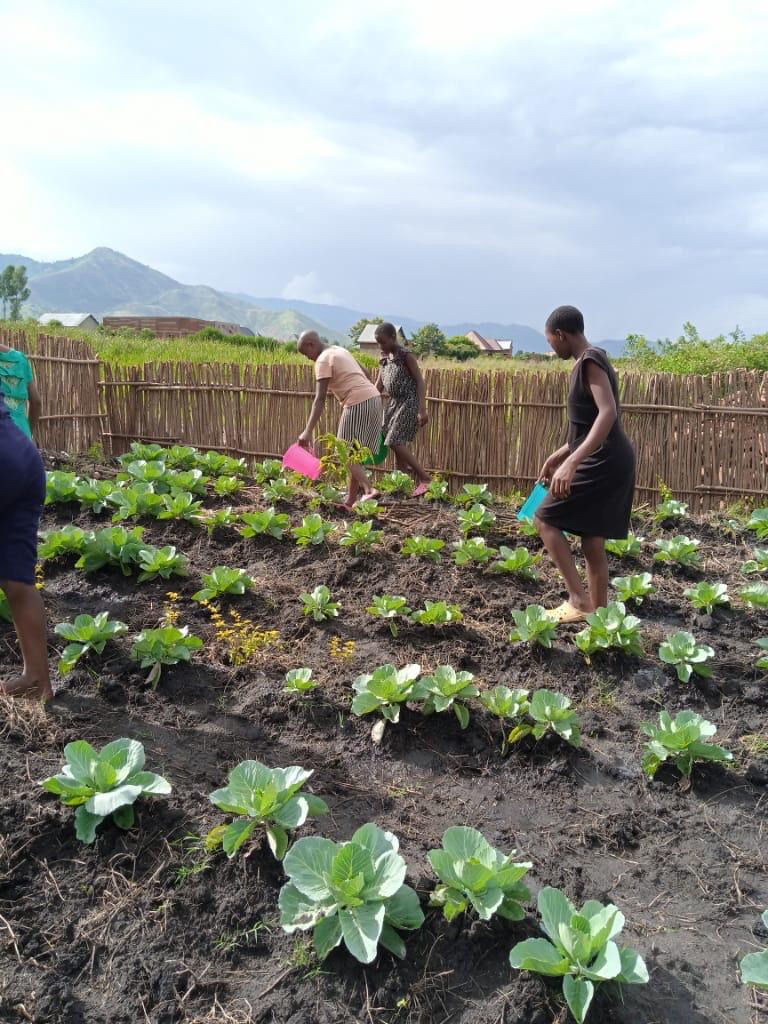 Establish vegetable kitchen gardens for improved nutrition and health among vulnerable children and women in Kasese district.