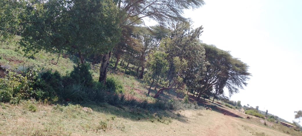 Water Spring protection