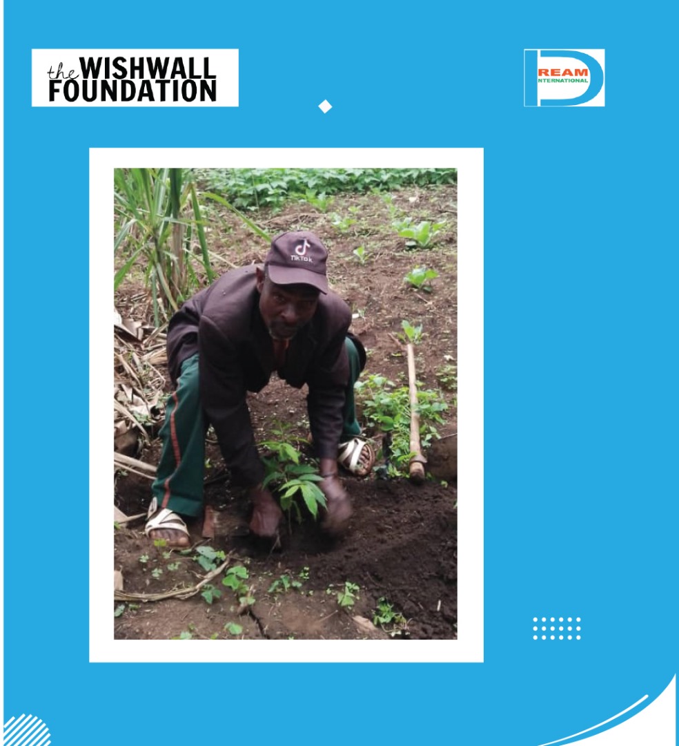 Planting for the restoration of landscapes in Rwenzori mountains