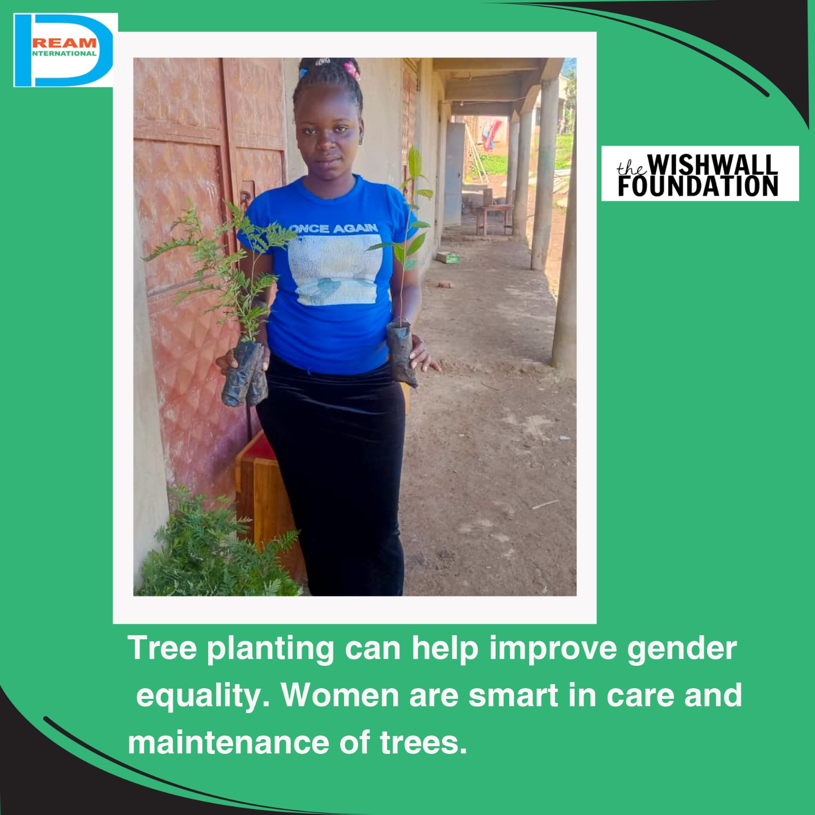 planting for biodiversity of landscapes in Rwenzori mountains