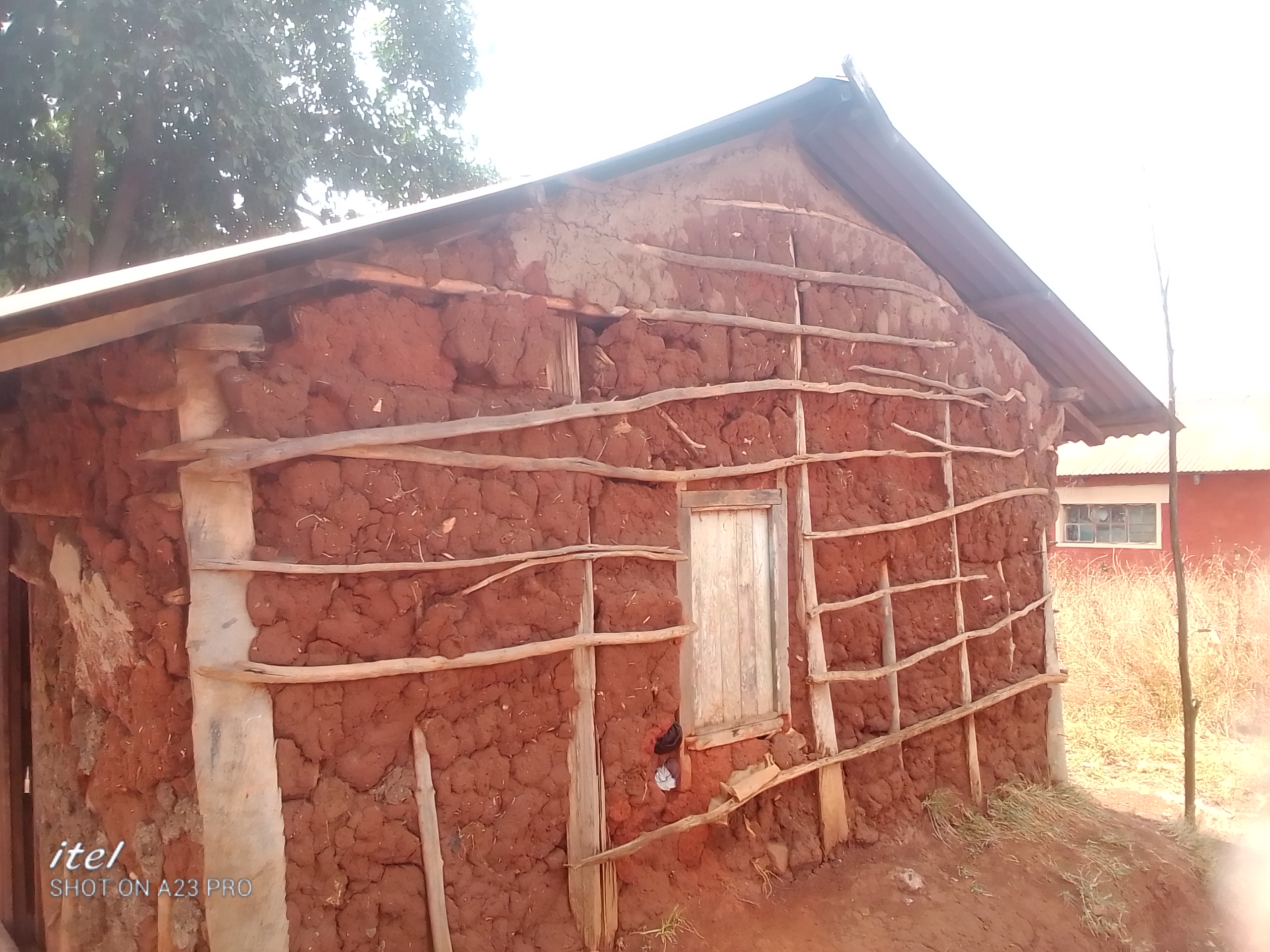 I wish for a good shelter for mom