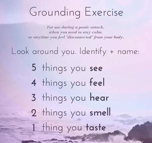 Finding Calm in the Chaos