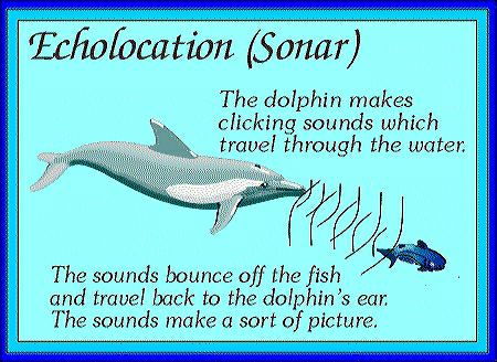 On The Only Miss Karmen Taylor "Monie" Oliver's Favorite Song Itself