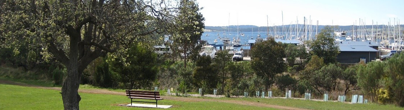 TAS Regional LGI CF MN