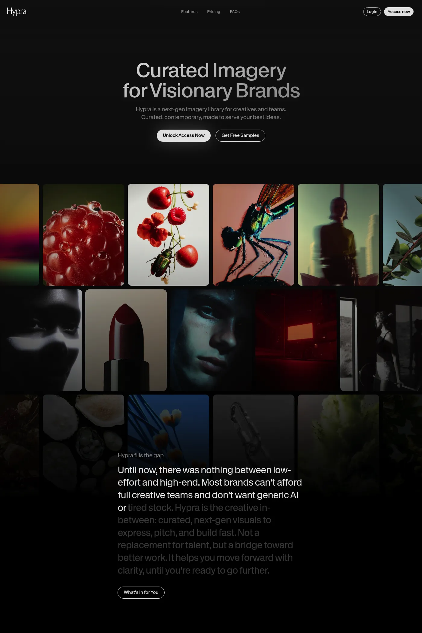 Hypra website screenshot