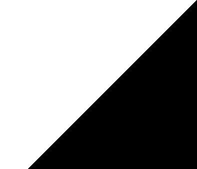 SHOWCARD BLACK/WHITE 32