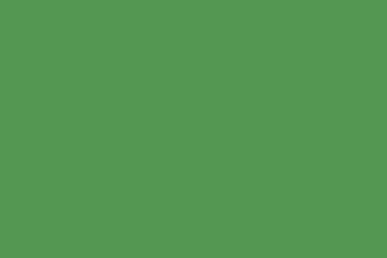 12'X50' - CHROMA GREEN #85