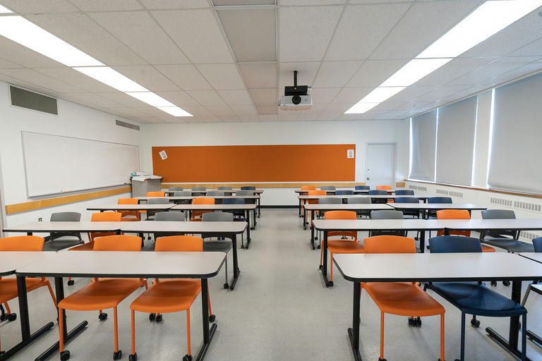 SCRF 201 - Image Gallery 3