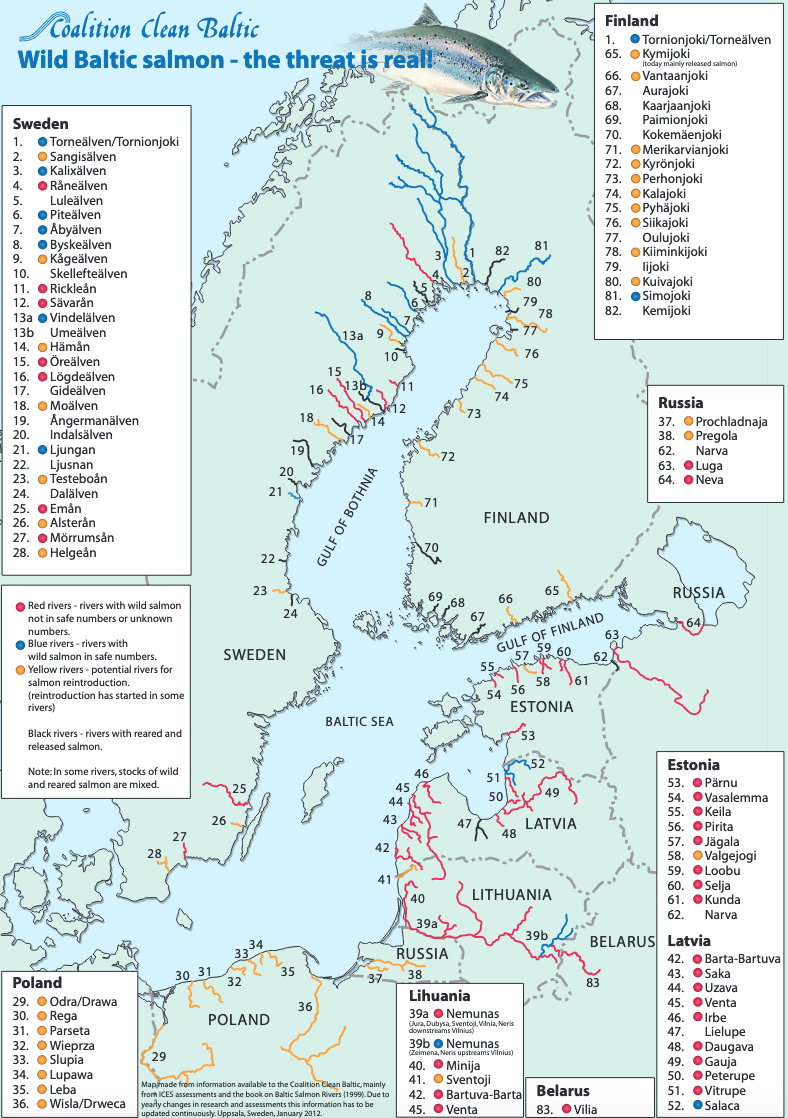 Poster on the threats to the genetic diversity of the wild Baltic Salmon (updated version)