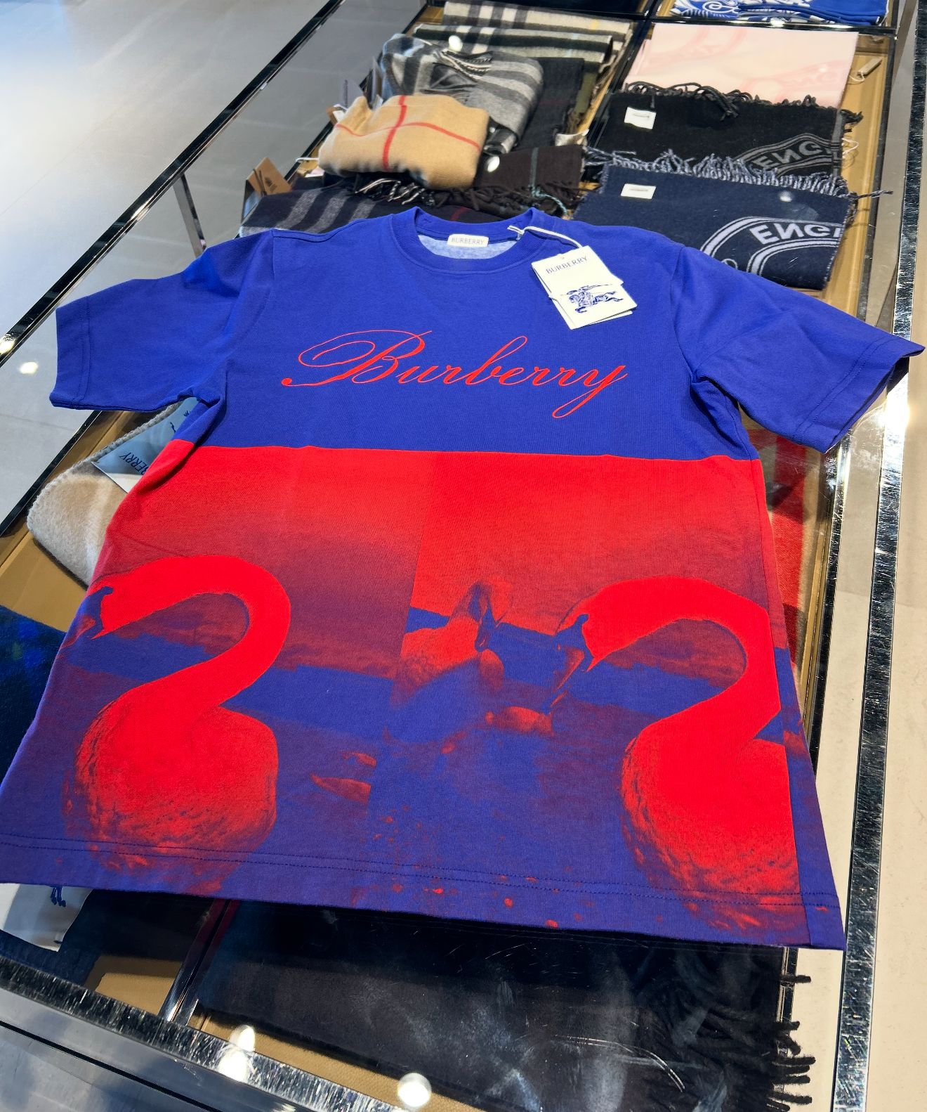 Burberry Swan Scene Graphic T-Shirt – Blue & Red