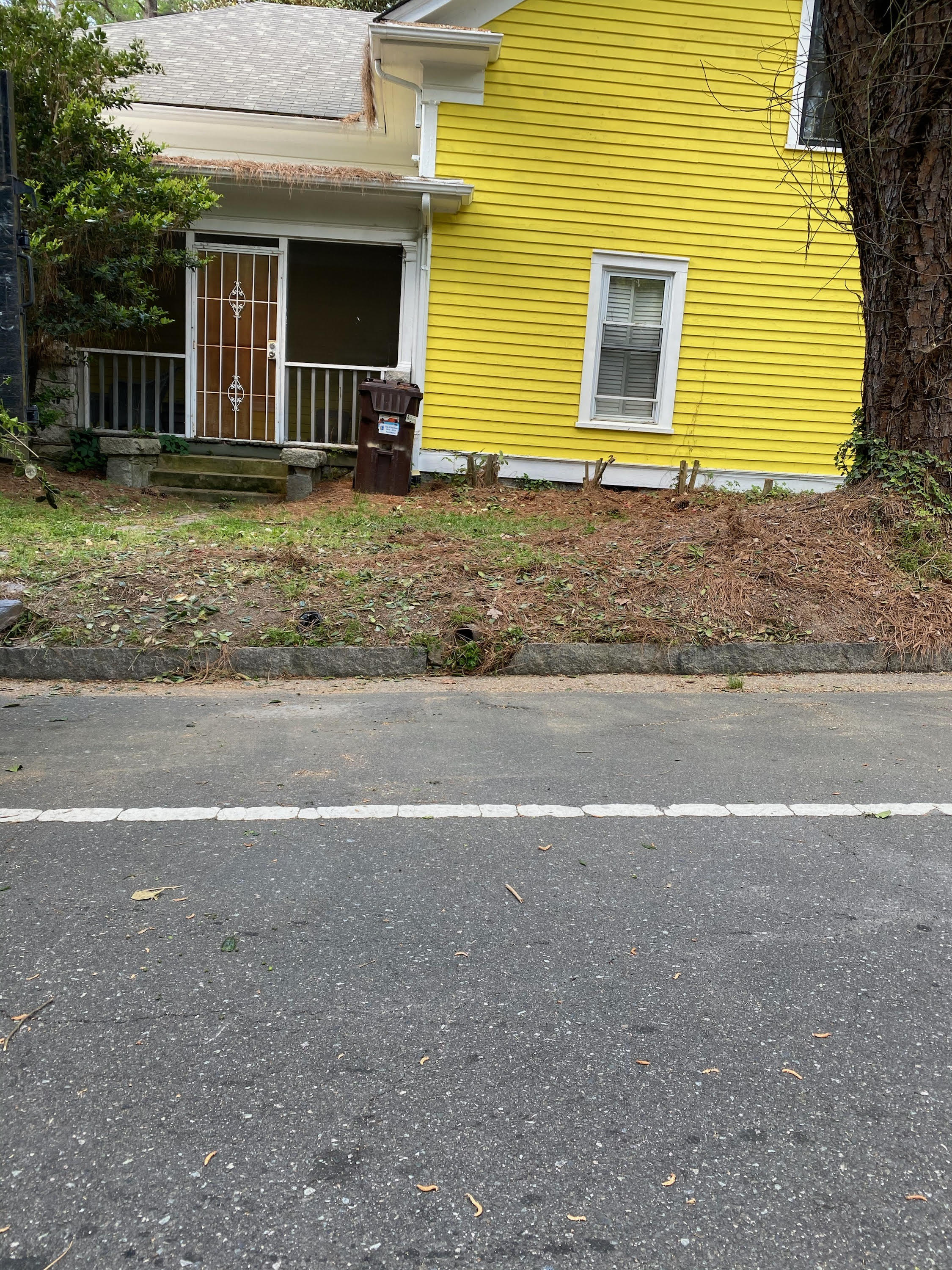 Yard Debris Removal in Durham, NC