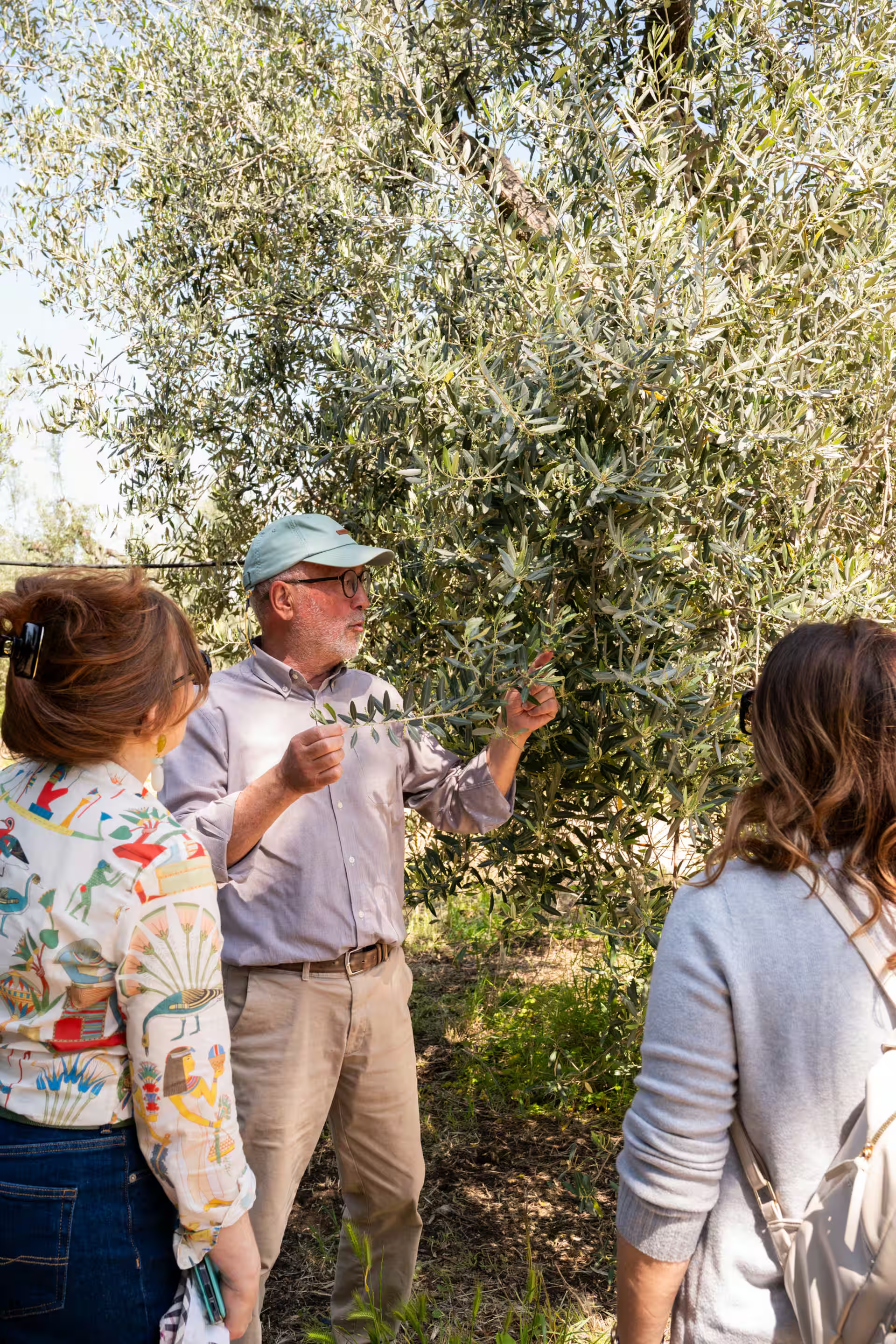 Slow Food – Los templos del aceite – Olivos Patriarcas con Francesco Linzalone - Image 9