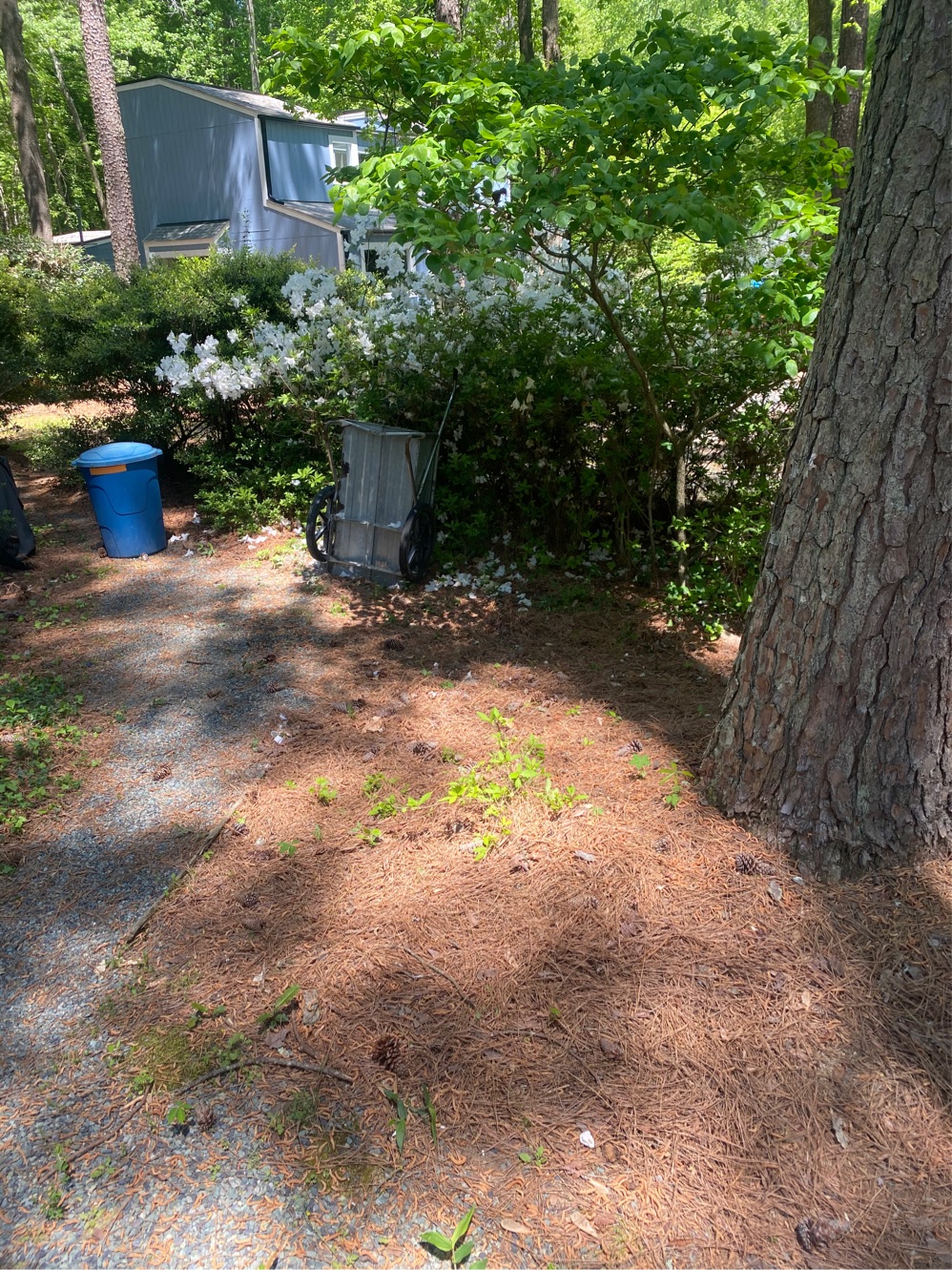 Junk Removal in Pittsboro, NC