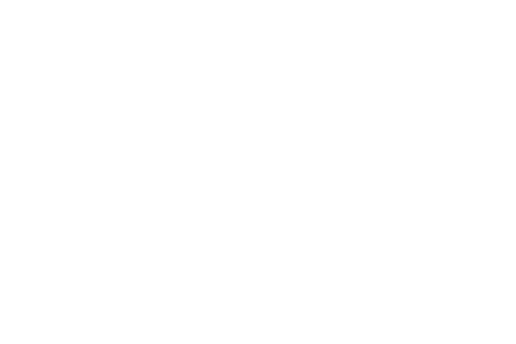 BLUE CROSS BLUE SHIELD