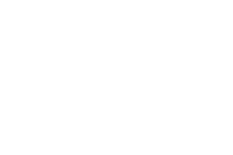 GUARDIAN