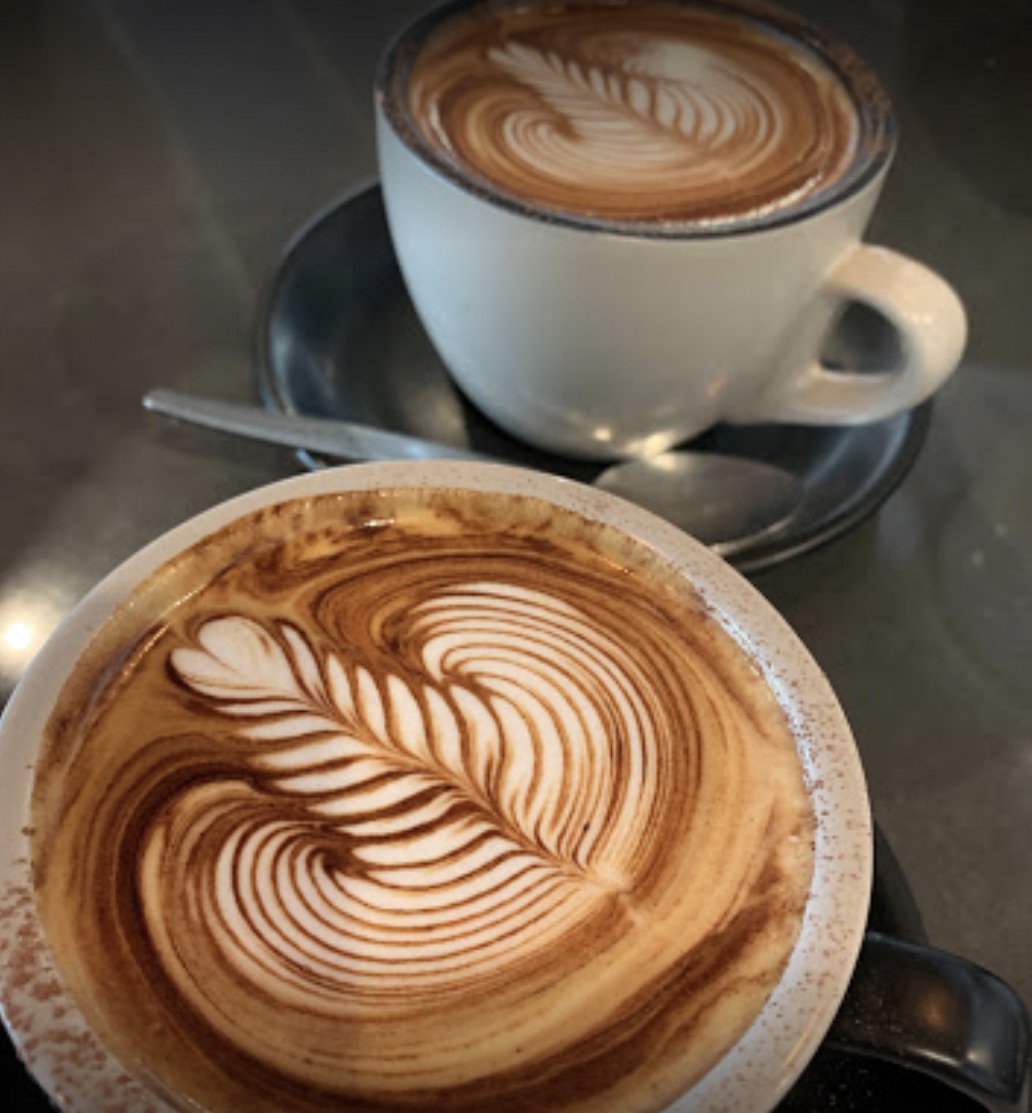 Cafe for Sale Glebe Corner Location