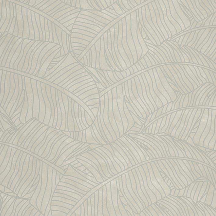 FICUS TAUPE VEGGFÓÐUR