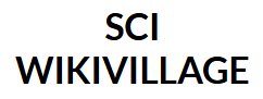 Prestation de Gardiennage  pour SCI WIKIVILLAGE-2025-4