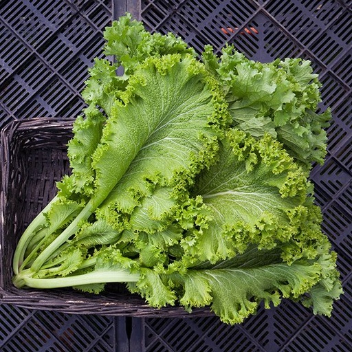 Image of Mustard Greens