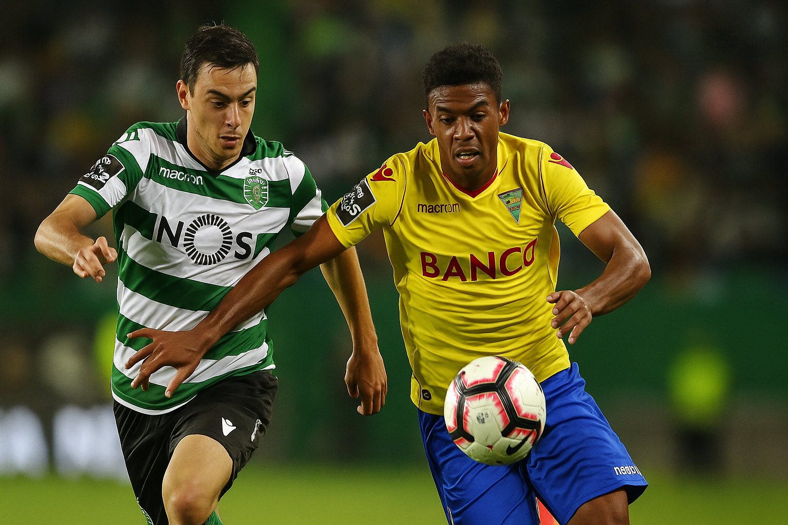 sporting vs estoril praia