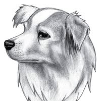 Kingdom Canine Center